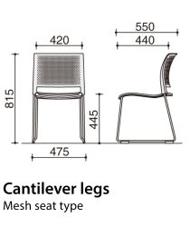 Cantilever_mesh